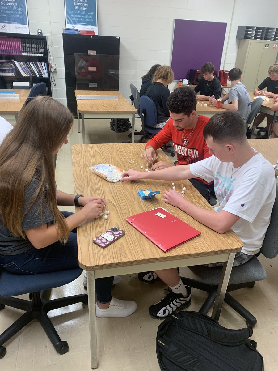 PRCTCSportsMed's tweet photo. Sports Med Juniors engineering marsh mellows and toothpick structures while sharpening team building skills. https://t.co/BEqf2lQnHF