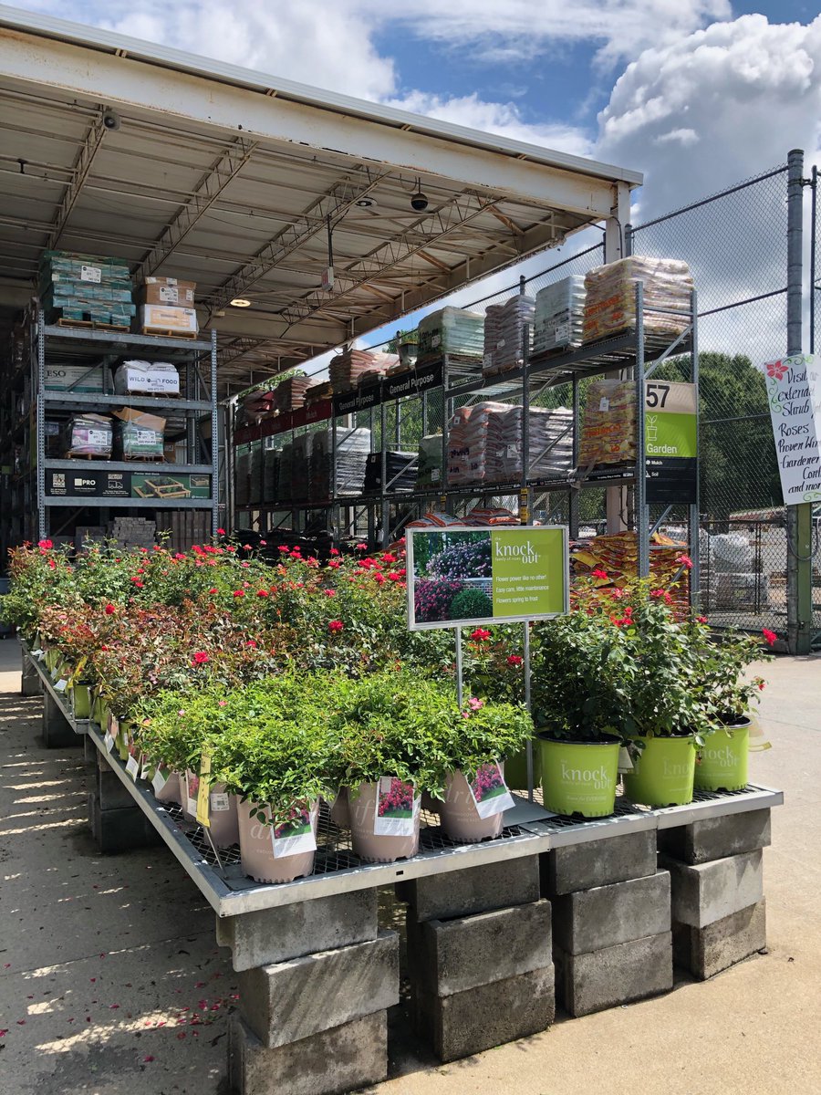 Lorrie Gallimore (@gallimorelorrie) on Twitter photo It’s beginning to look like Fall! Visit your local Home Depot for all your Fall shrub needs! <a href="/BaucomJbaucom/">Baucoms Nursery Co.</a> <a href="/ericbaucom/">Eric Baucom</a> <a href="/NealMattison/">Neal Mattison</a> <a href="/Pat_Fischetti/">Patrick Fischetti</a> It’s beginning to look like Fall! Visit your local Home Depot for all your Fall shrub needs! <a href="/BaucomJbaucom/">Baucoms Nursery Co.</a> <a href="/ericbaucom/">Eric Baucom</a> <a href="/NealMattison/">Neal Mattison</a> <a href="/Pat_Fischetti/">Patrick Fischetti</a>