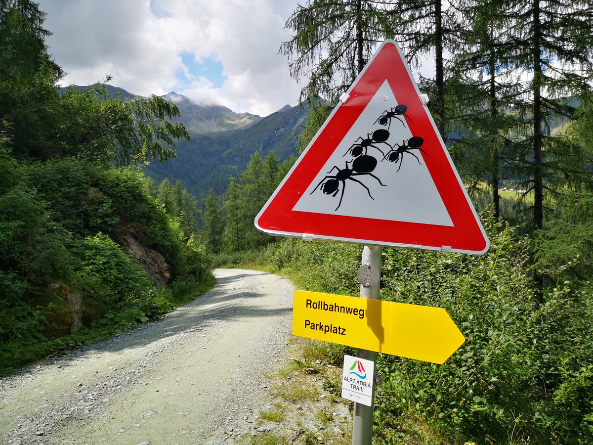 ZinvolReizen's tweet photo. Ik heb al best veel van dit soort bordjes verzameld....aar overstekende mieren.... Die had ik nog niet π
#AlpeAdriaTrail #aatrail #oostenrijk #mieren #verkeer https://t.co/x077mfoiTx