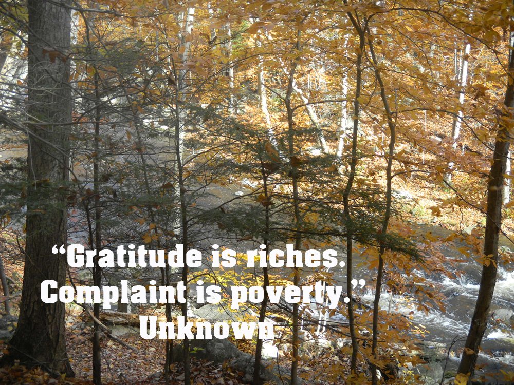miraclegrids's tweet photo. Peace on earth and goodwill to all https://t.co/jTsPujDMKR #lovingpeace https://t.co/9ybY8ezIrr
