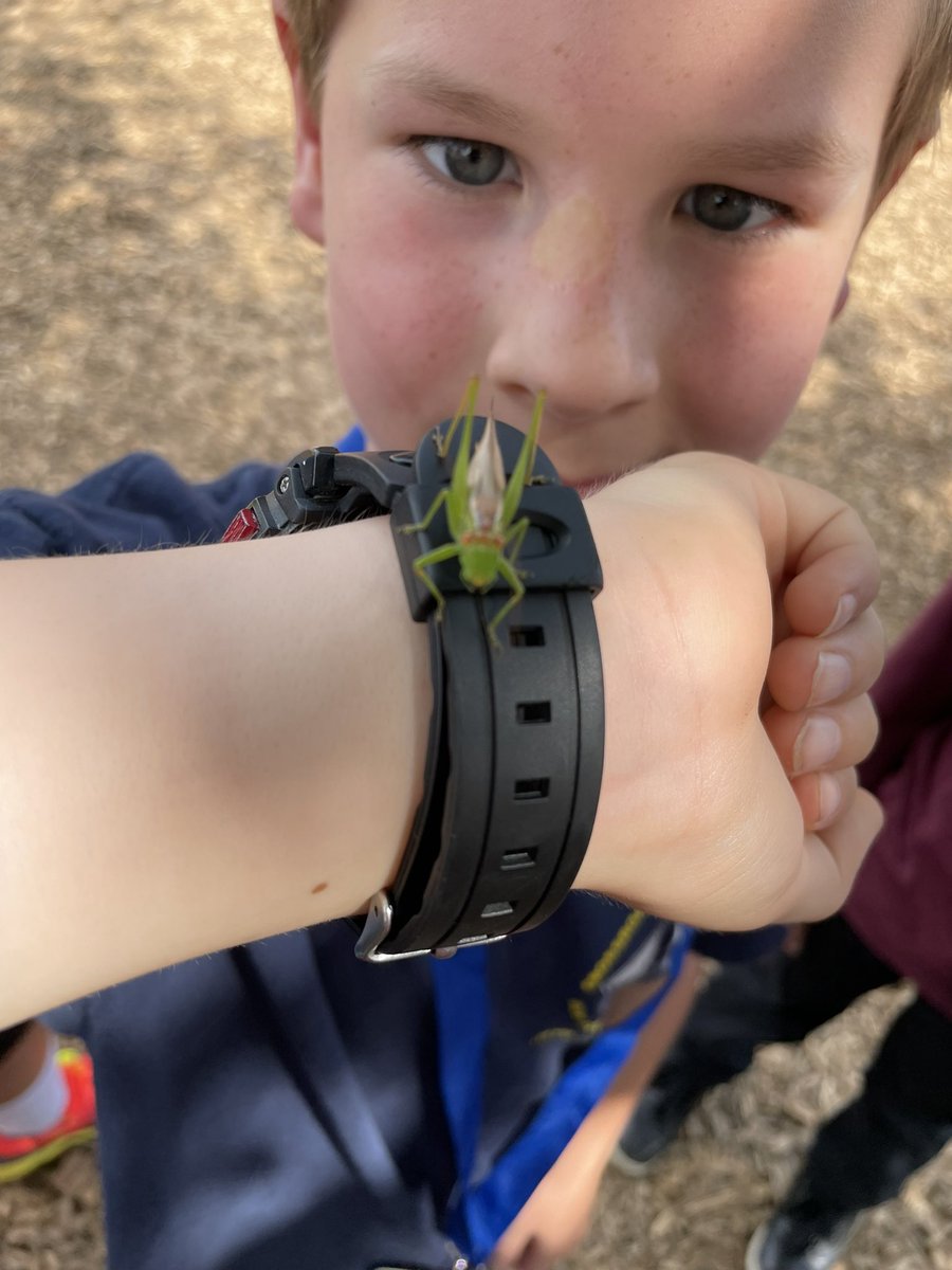 Koewers_Class's tweet photo. Making friends at recess. Meet Nintendo and Nintendo Jr. @CREhseIN https://t.co/RUMGO7TwXu