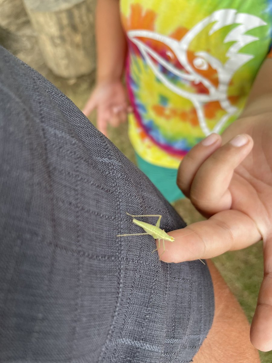 Koewers_Class's tweet photo. Making friends at recess. Meet Nintendo and Nintendo Jr. @CREhseIN https://t.co/RUMGO7TwXu