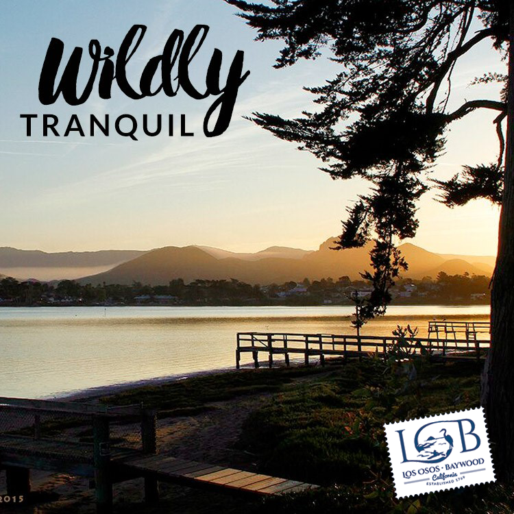 LosOsosBaywood's tweet photo. Whether you are looking for adventure or tranquility, you will find it in #LosOsos #Baywood.
.
.
.
#VisitLosOsosBaywood #OpenandSafe #WildlyRelaxing #SLOCAL #Highway1Dreaming #SafeTravels https://t.co/p40NQxt6ar