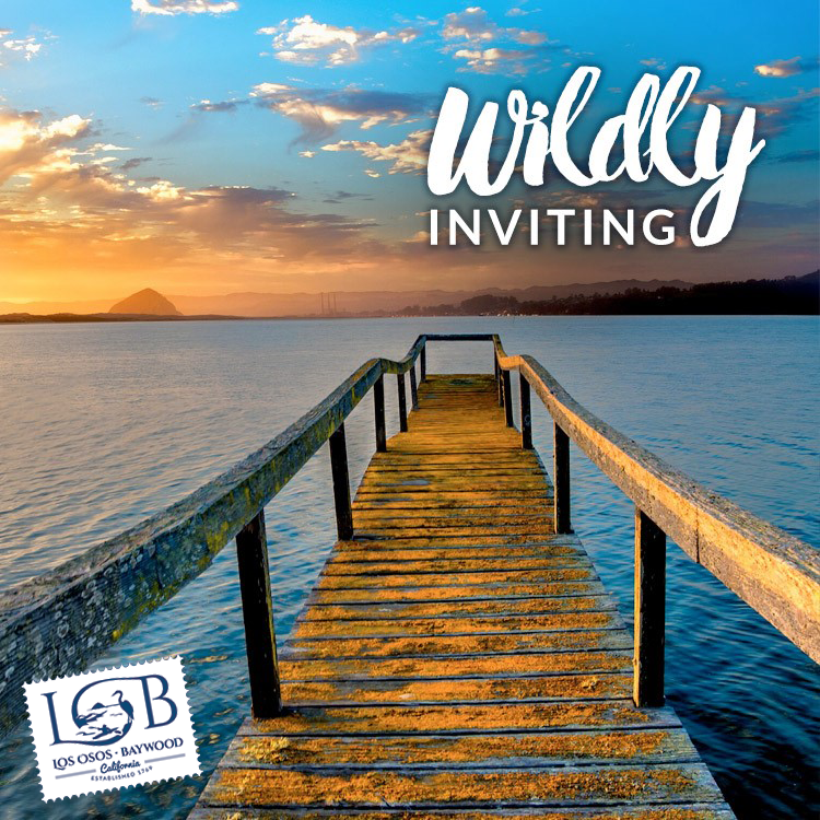 LosOsosBaywood's tweet photo. Whether you are looking for adventure or tranquility, you will find it in #LosOsos #Baywood.
.
.
.
#VisitLosOsosBaywood #OpenandSafe #WildlyRelaxing #SLOCAL #Highway1Dreaming #SafeTravels https://t.co/p40NQxt6ar