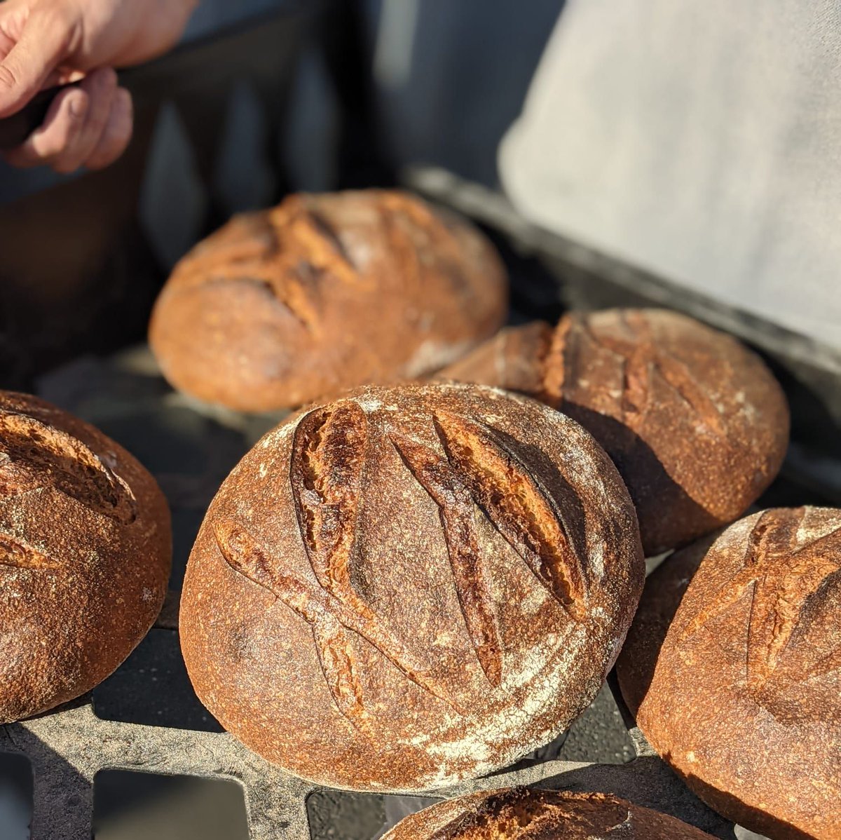 Final last call for online orders for Saturday collections.

Plenty to cheer up the weekend.  The webshop closes at 1130pm

shop.flourwatersalt.co.uk

Thanks