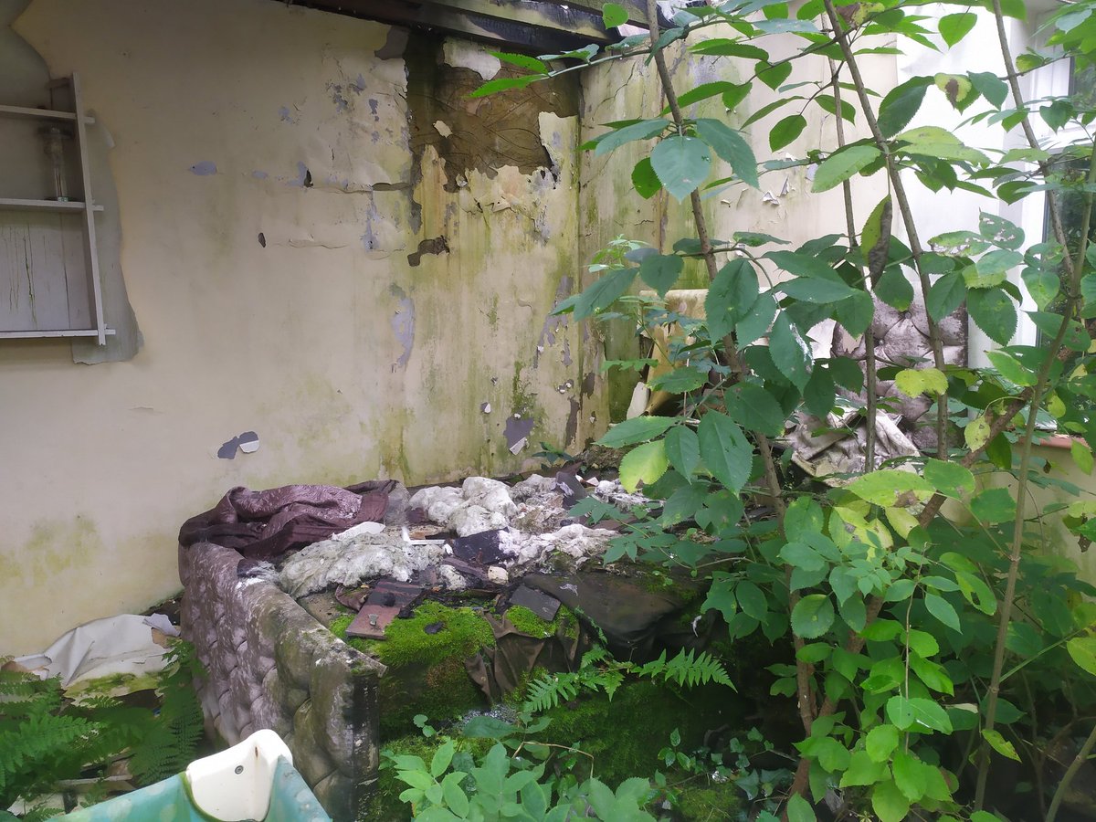 Chris Youles tweet media