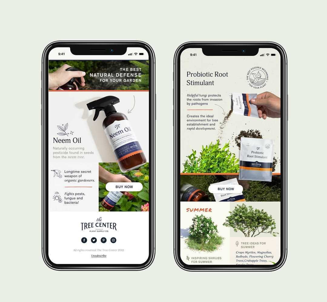 Have you checked out our new emails yet?! 📩We've been working hard to pack our newsletters with informative facts, fun gardening tips, and exclusive discounts! This week's feature is the versatile Boxwood family, so don't miss out and signup on our site today! #thetreecenter