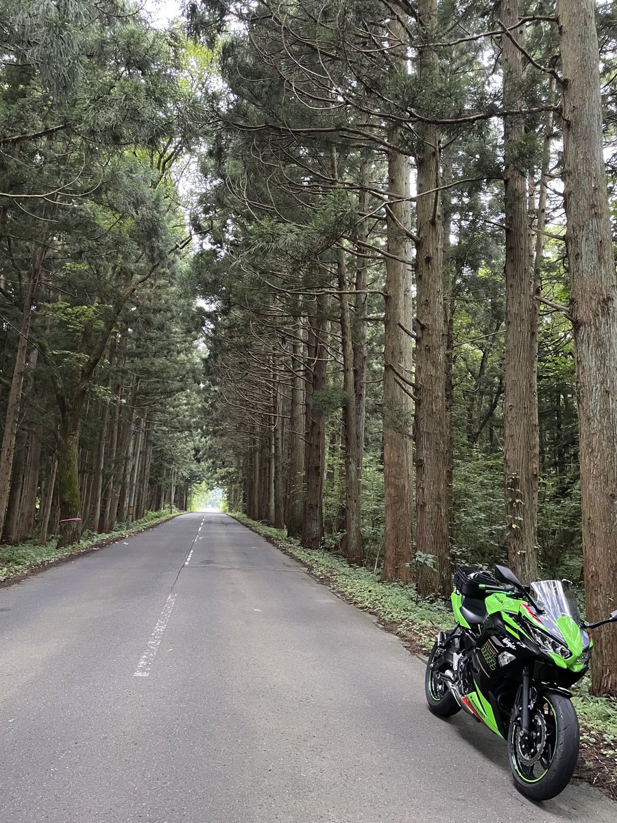 98m005 (๑´・◡・`๑)ノシ @Ninja650 KRT tweet media