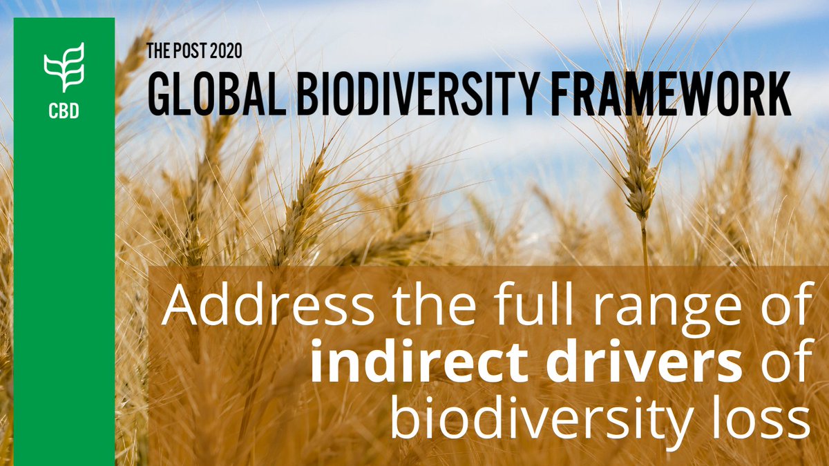 The Open-ended Working Group meets virtually to advance work on the #post2020 framework from 23 August to 3 September.

The first draft of this critical framework is out now. Explore its 21 Action Targets for the next decade.

Read now ➡️cbd.int/post2020

#ForNature #COP15