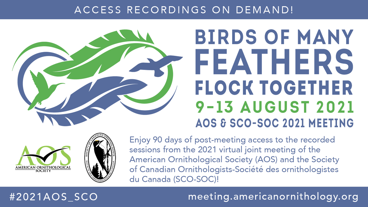 AmOrnith's tweet image. Access to the #2021AOS_SCO recorded sessions is available to all meeting registrants for 90 days after our meeting. A recordings-only, on-demand registration option is now available to everyone who could not attend the live, virtual meeting!
Info: meeting.americanornithology.org/aos-sco-2021-v…