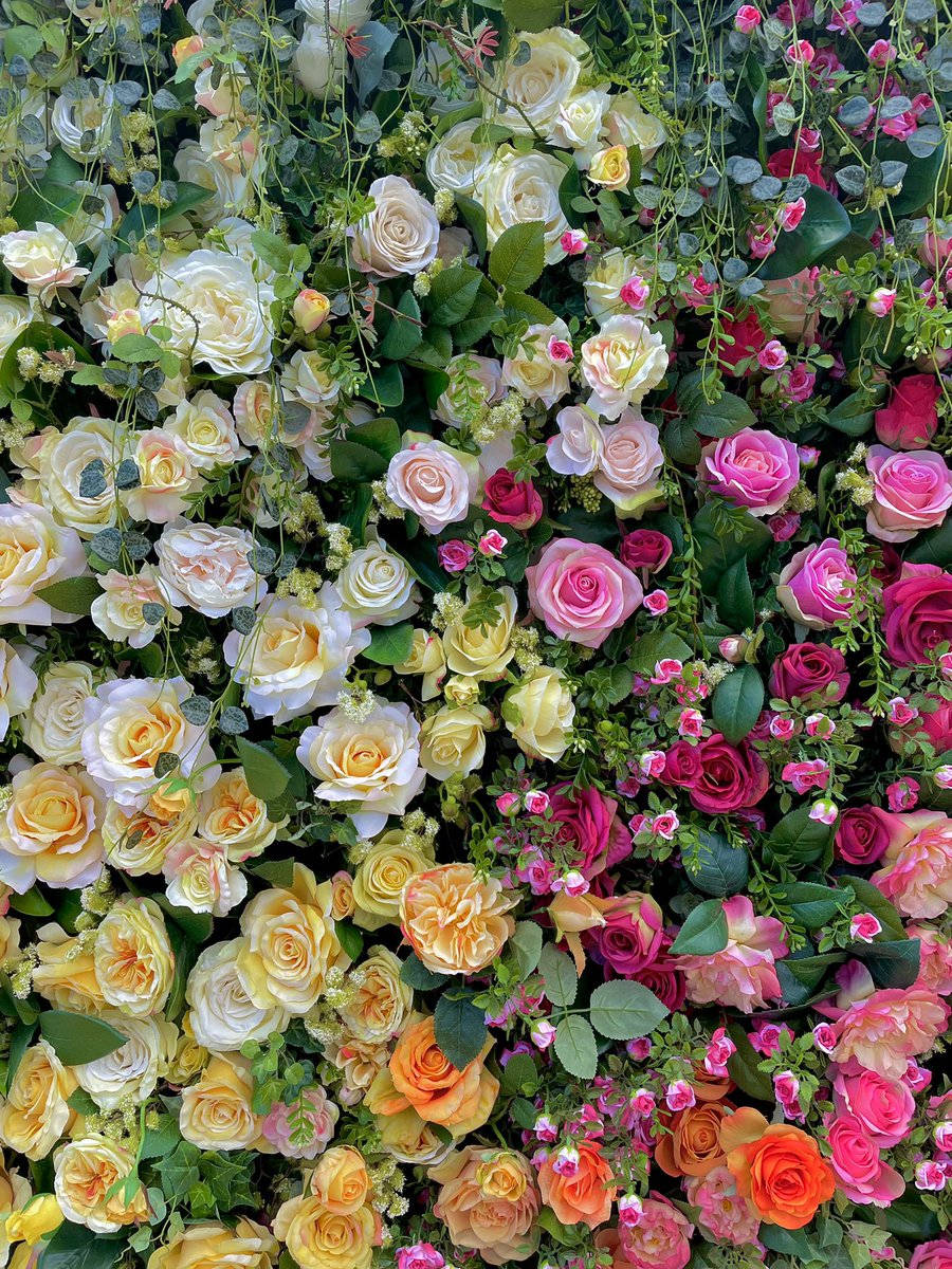 Great Day SA tweet media