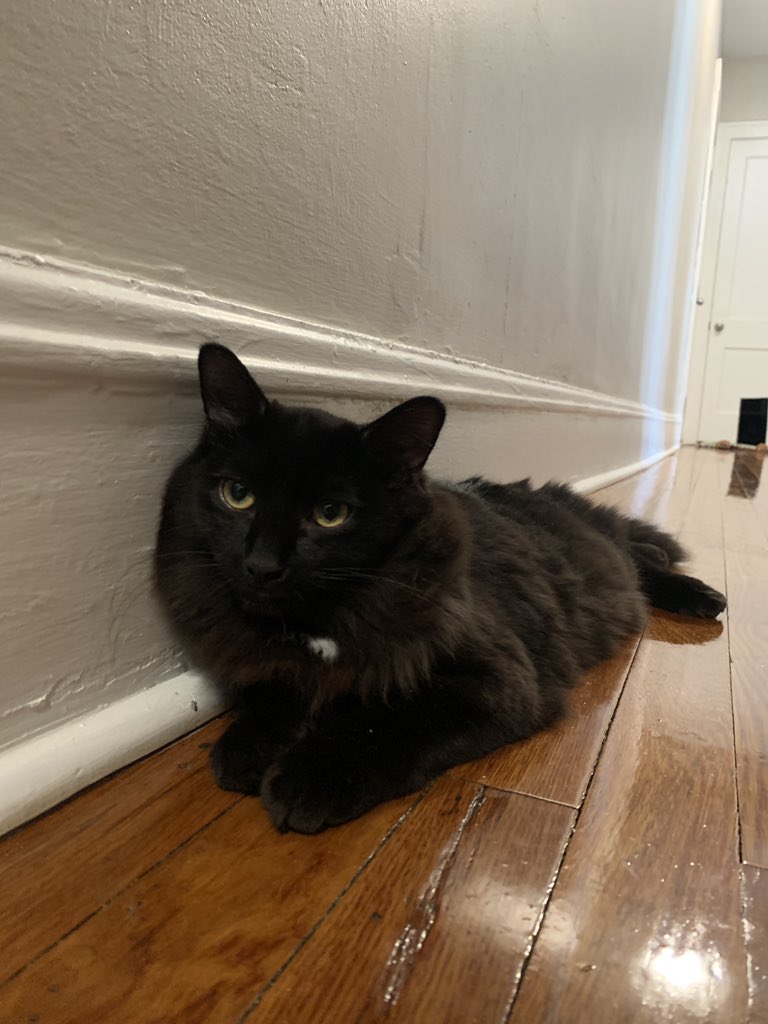 bunny is a riderrrrr