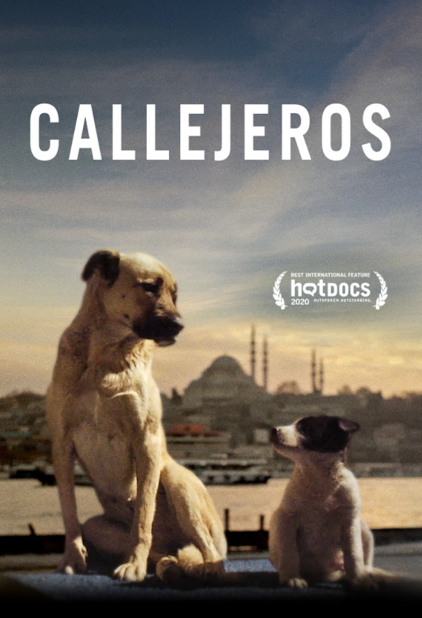Alafugatv's tweet photo. #Callejeros y #Hastaelfinal son los nuevos estrenos que #SofaDigital trae este mes en exclusiva en México en plataformas de Video On Demand (VOD), entre ellas iTunes, Cinépolis Klic, Google Play, YouTube, Totalplay, Amazon e Izzi. https://t.co/jNAWKLqLPu
