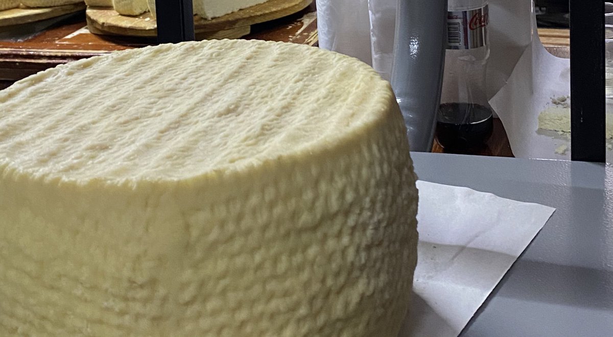 Estamos tomando envíos de ruedas de Queso Cotija para CDMX! 
Para que no te quedes con el antojo…. Tenemos a partir de 3kgs en adelante