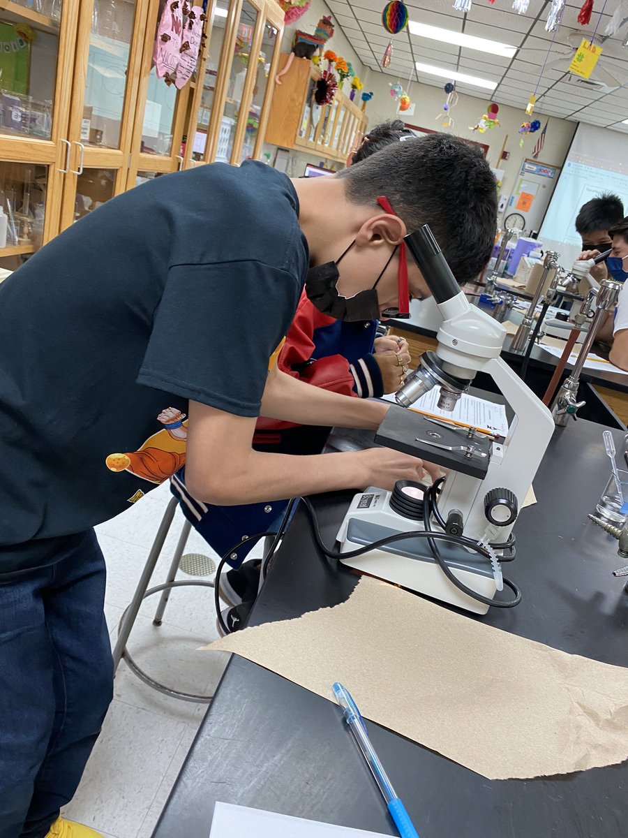nanstockton's tweet photo. Itโs a beautiful day for a lab! So happy our students are back in the swing of things! ๐๐๐ #SISD #SHSScience #SHS #Biology #Honors #Science #InPersonLea https://t.co/oWpndngPGF