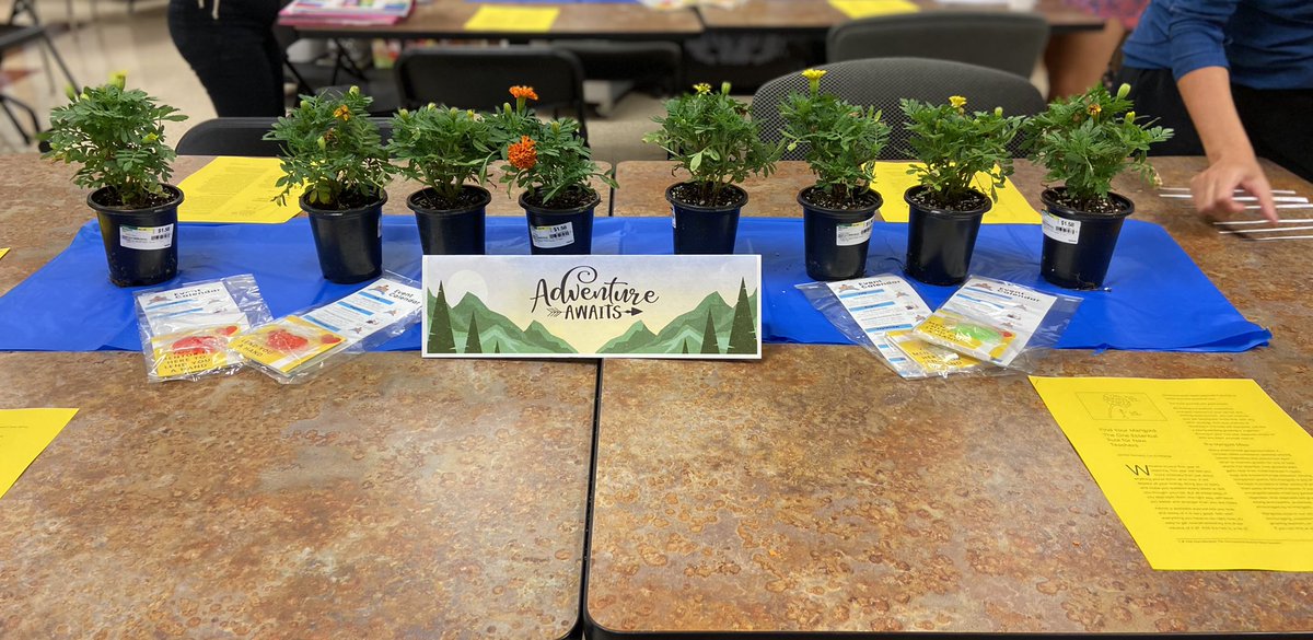 TPES Welcome Event for  our Mentors and Mentees…our Essential Marigolds.  Thank you for supporting, encouraging, and nurturing our new teachers.<a href="/LyssyKim/">Kim Lyssy</a> <a href="/WrayKrista/">Krista Walker Wray</a> <a href="/TiffaniZimmerh1/">Tiffani Zimmerhanzel</a> <a href="/hanna_schramm/">Hanna Schramm</a> <a href="/Ktbiggs00/">Katie Biggs, NBCT</a>