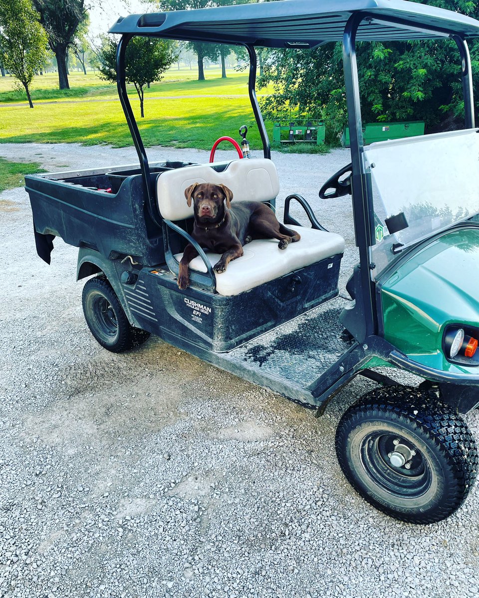 It’s been a long, hot, dry summer but my partner in crime makes it’s easier! #dogsofturf