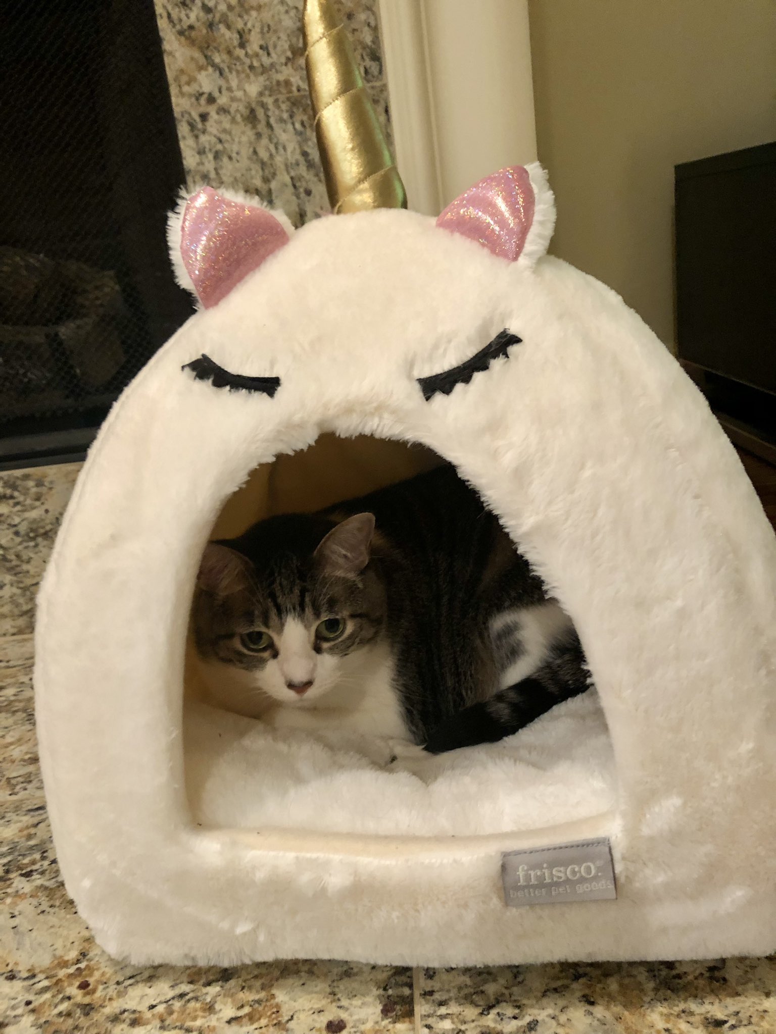 FemBOMB💋 on Twitter: "Unicorn chill time 🐱🦄💖!!!…