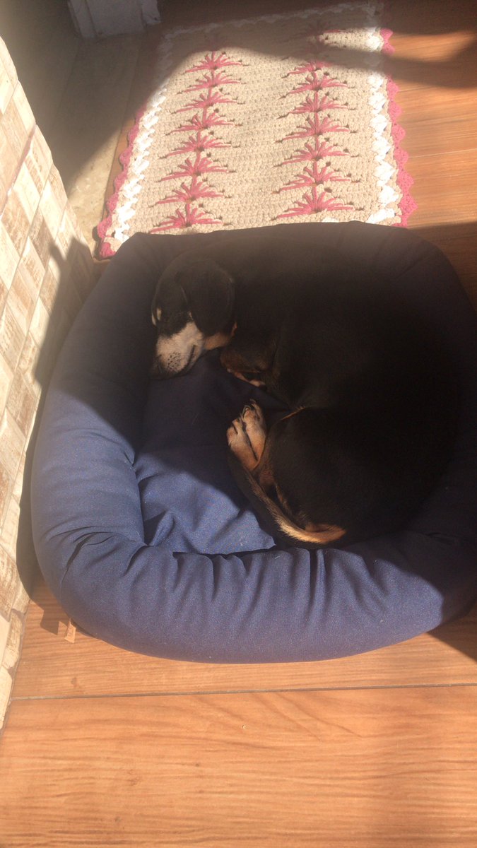 MyCodePlanet's tweet image. Relax it’s Friday…