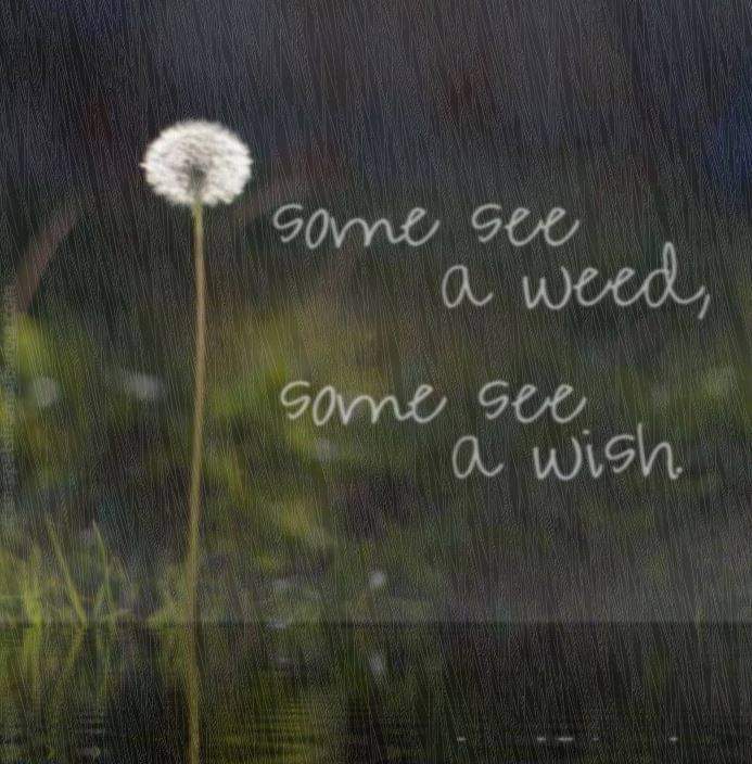 Cindy Anderson tweet media