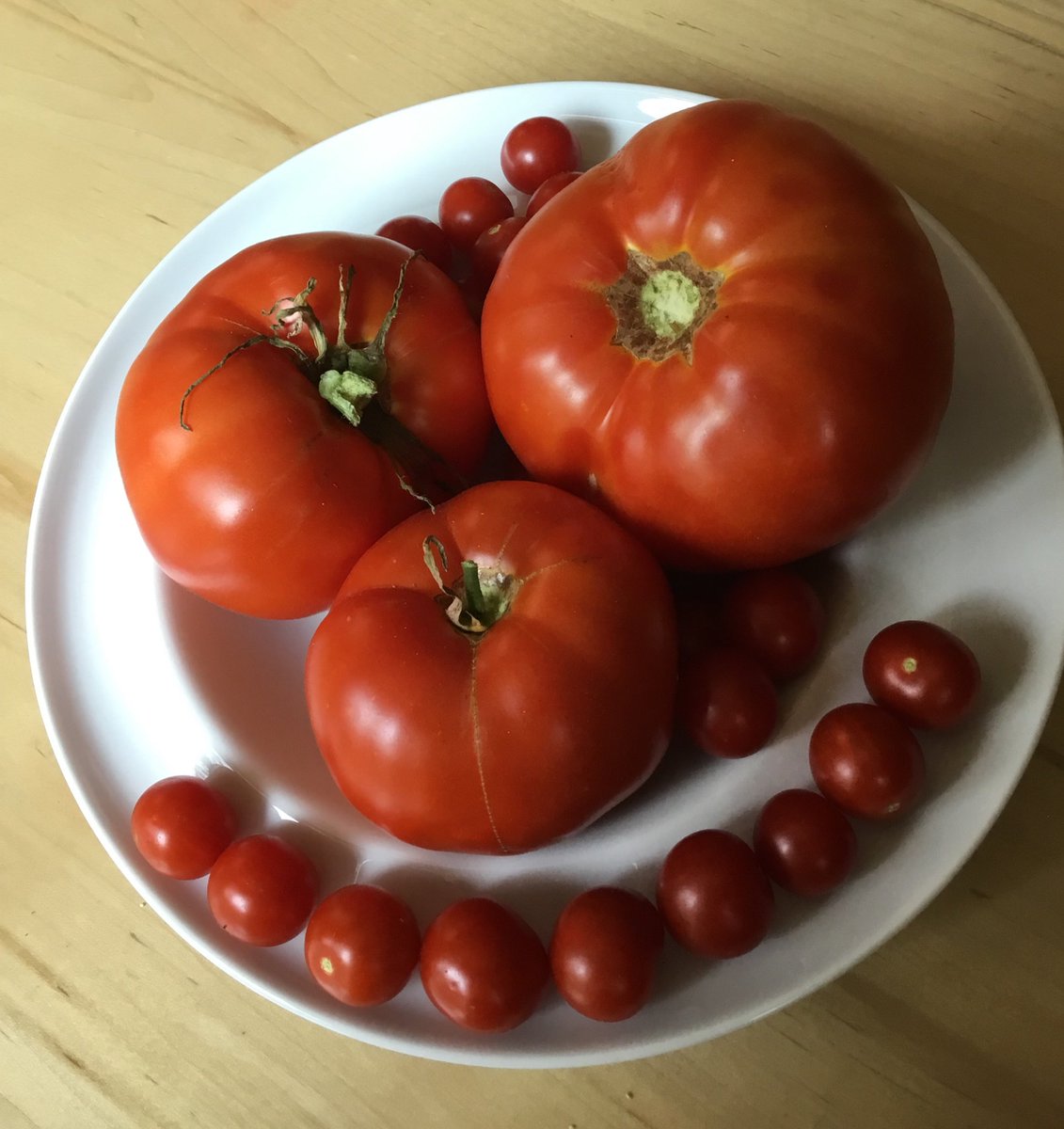 First harvest of big tomatoes from the backyard garden. Looking forward to all the toasted tomato sandwiches.