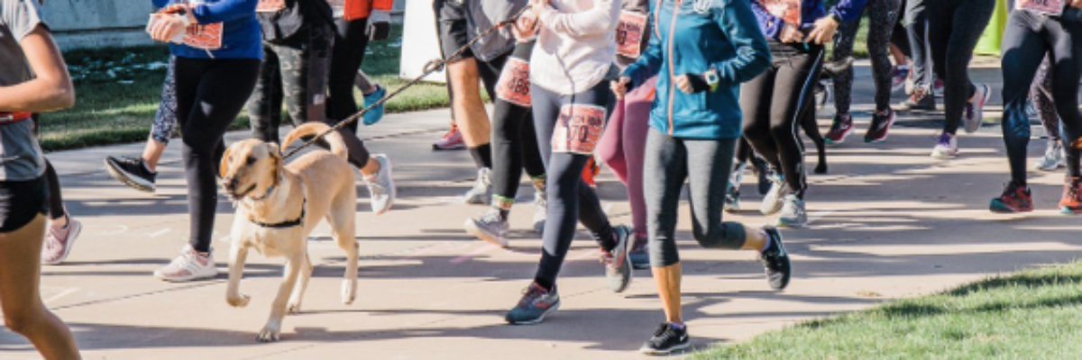 Get egg-cited because the annual event The bRUNch Run™ is back with <a href="/brunch_running/">bRUNch Running</a> and the event benefits Metro Caring! Join us in real life for our 7th annual bRUNch Run 5K + 10K on Sun Oct 10 in Denver or virtually from the comfort of your own home.  buff.ly/3frd8f5