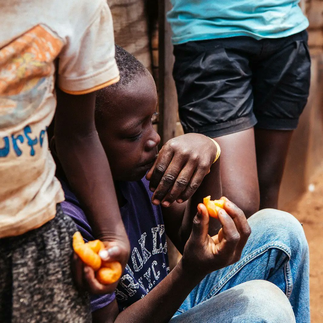 EMforCharity's tweet photo. 🖐🌱🌍We are a piece of this planet. We are food.
.
🫂💗 The people who give you their food, give you their heart. ❤💙💜
.
.
#emforcharity #sharethefood #helpingothers #givetoothers #helpandinspire #hearts #volunteer #weareone #loving #carying #ong https://t.co/HBg1gYAIoZ