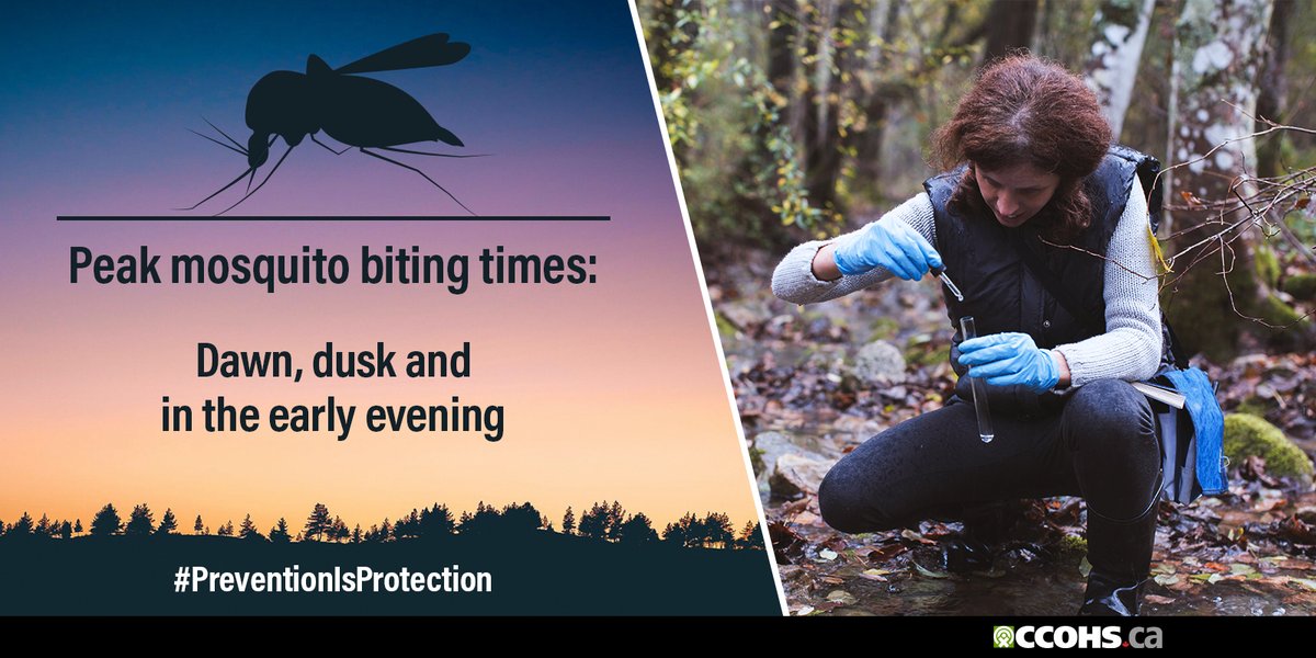 CCOHS's tweet image. Working outdoors? To prevent bites and viruses, like West Nile, wear long sleeved shirts and long pants, then spray clothing with insect repellent. More tips: ow.ly/fZsg50FTDv4 #preventionisprotection