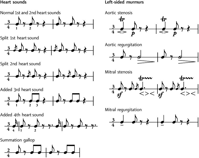 For the musically inclined