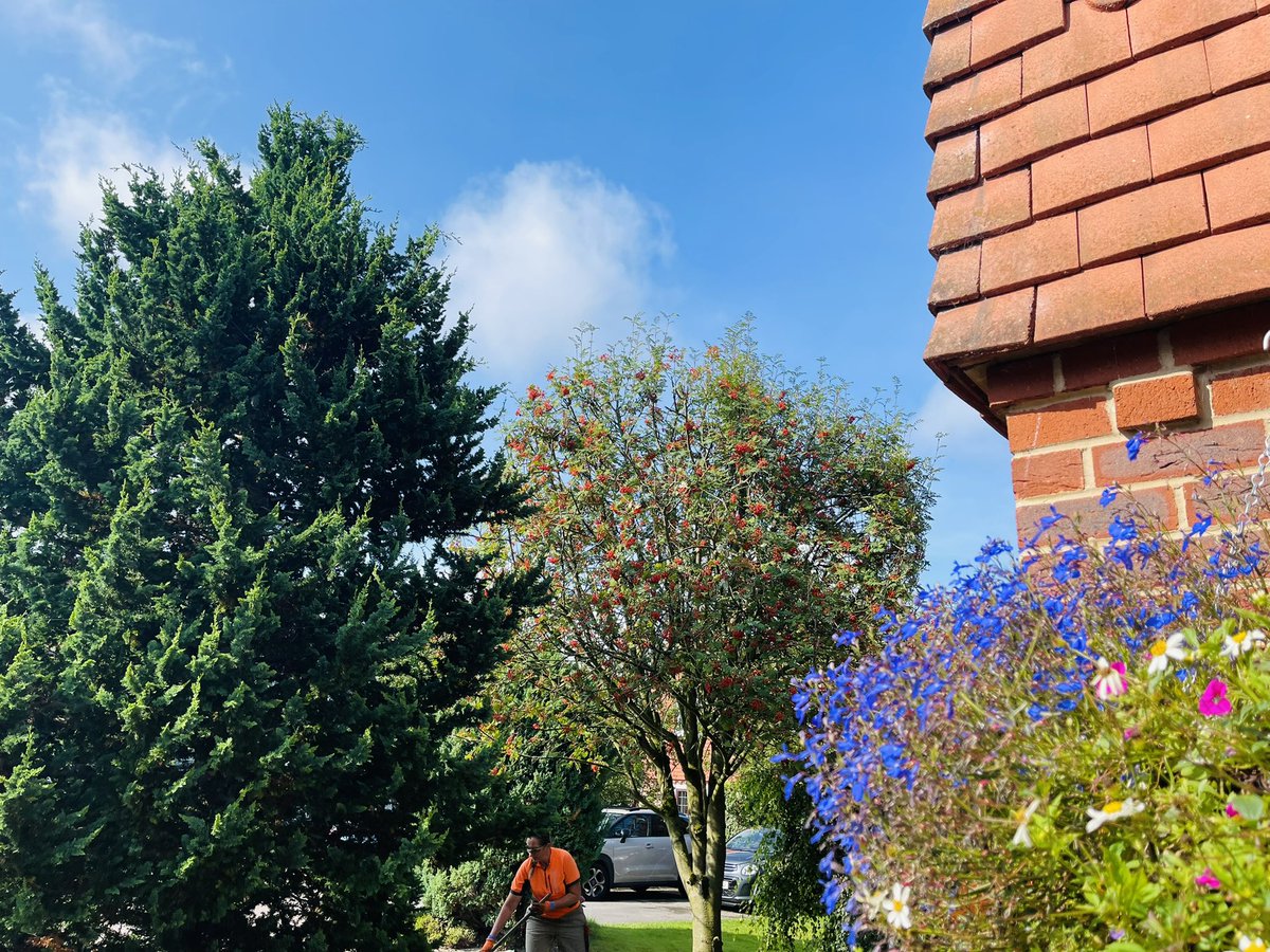 Trimming 🍃🍃🔋♻️🍃🍃🌍👍🏼#garden #gardening #macclesfield #Cheshire