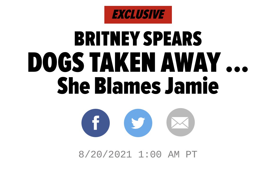 BritneyTheStan's tweet photo. Give Britney her dogs back! She has already testified that she has abandonment issues and that dogs provide her therapy with her anxiety. Taking her dogs away is sick and inhumane! #FreeBritney https://t.co/Me7E4ZrdGI