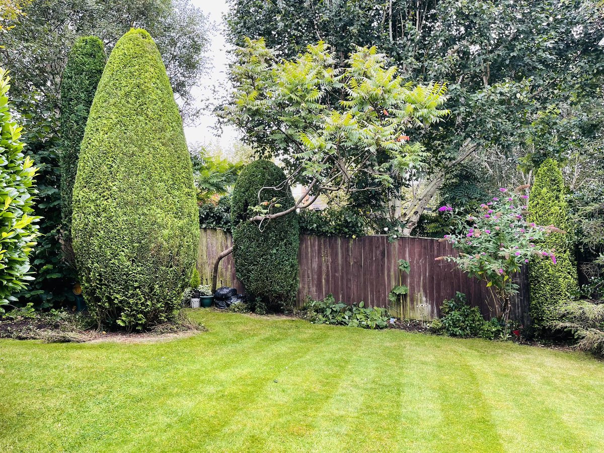 Trimming 🍃🍃🔋♻️🍃🍃🌍👍🏼#garden #gardening #hedgetrimmer #macclesfield #Cheshire #gardener