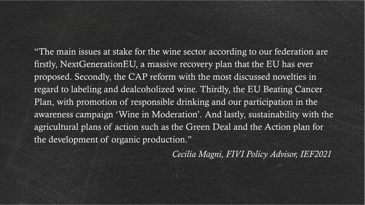 At #IEF2021 Cecilia Magni of <a href="/VignaioliFIVI/">VignaioliFIVI</a> explaining the four issues regarding the wine industry that are going to be monitored now and in the next upcoming years !
#IEF2021 #wineforum #onlineforum #economicforum #winebusiness #wineindustry