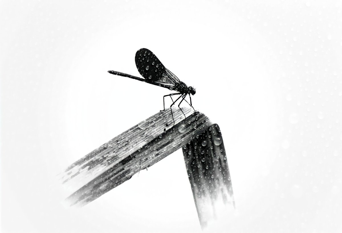 #hacerfotos
