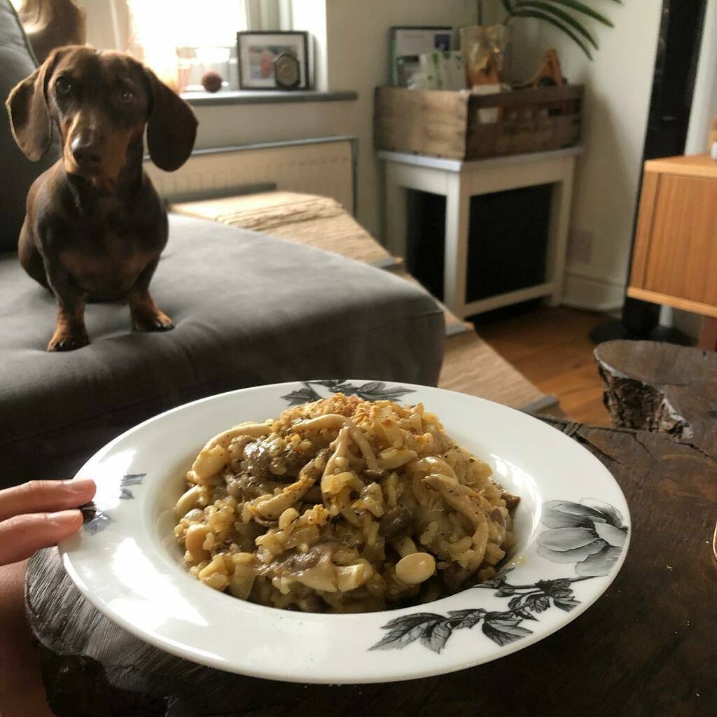 Mushroom 🍄 risotto 
•
#vegan #plantbased #veganrecipes #veganrecipes #homemade #homecook #homecooking #cookingastorm #foodporn #healthy #healthylifestyle #weewoo #thatwookitchen #weewookitchen #photobombhand 🖐🏻🖐🏼 instagr.am/p/CSzi1Jvitdd/