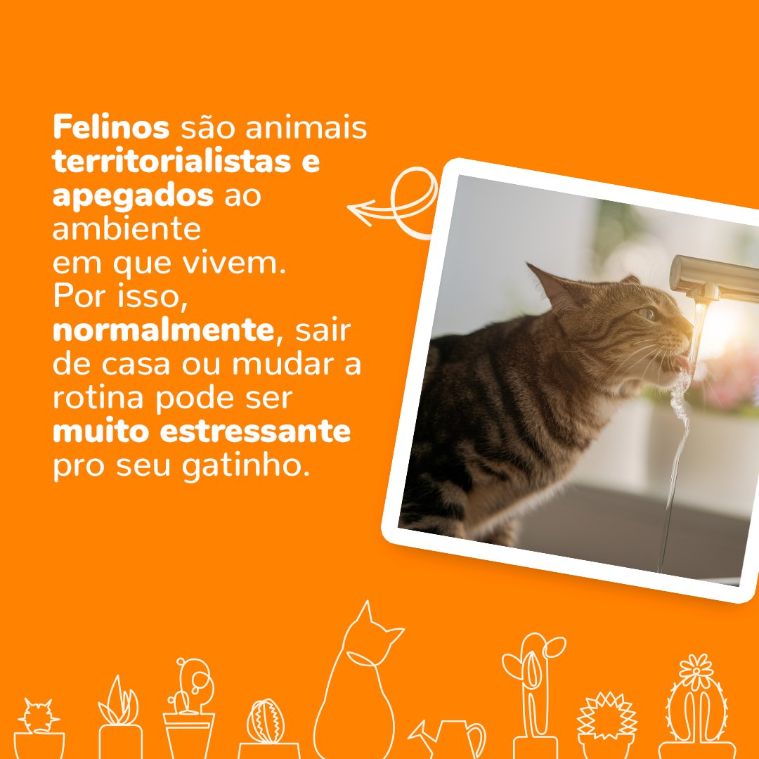 Cobasi - Essencial para a vida - A Cobasi Brasília, acaba de abrir suas  portas e esperamos a todos com muito carinho!!! ❤️❤️🐕🐱🐭🐰🐢🐟🦋💚💚  Venham conhecer nossa loja :) SHTQ Av. Comercial 