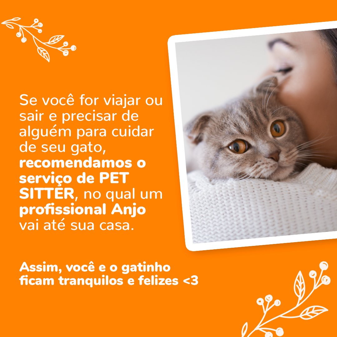 Precisa sair e tem receio de deixar seu gatinho só? 😿 Então, te recomendo o serviço de Pet Sitter, em que um profissional Anjo vai até sua casa para visitar, dar comida, brincar e cuidar do seu pet na sua ausência. 😻 Acesse bit.ly/CobasiPetAnjo e saiba mais! 😺 #PetSitter