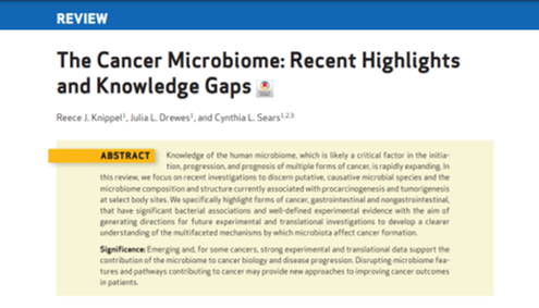 Elizabeth McKenna tweet media