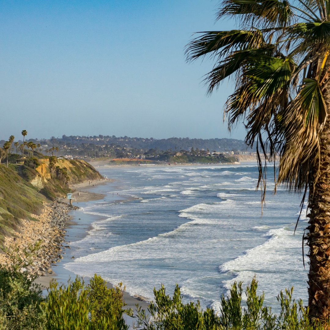 Happy Friday Encinitas! 🌴 🌊

#encinitaschamber #encinitas #community #beachlife