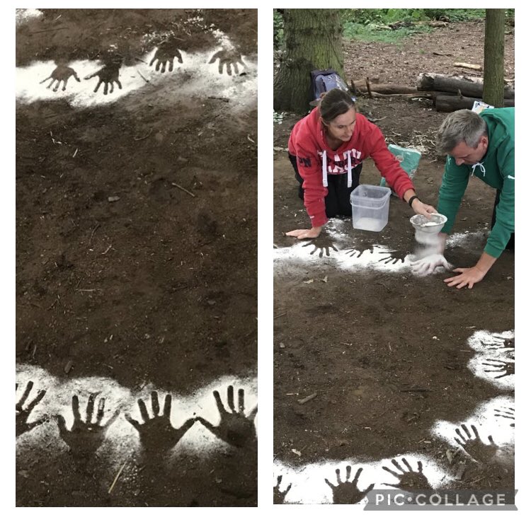 Mr Mckenzie PE tweet media