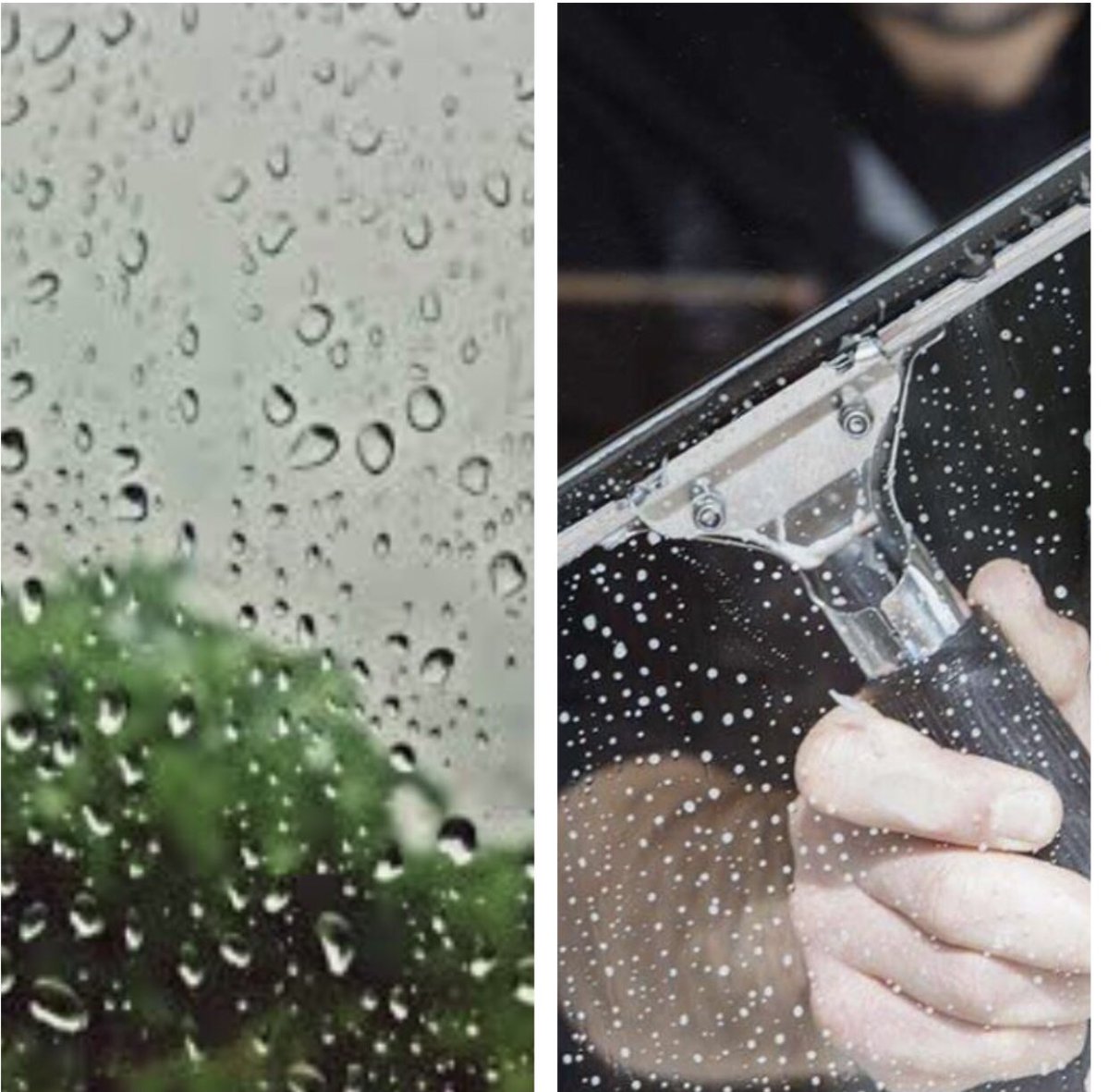 Let your staff see your future success with clean windows. 

We not only clean windows but can shampoo your carpets too!

Just a couple of the services we will do to go over and above to offer you the best for your staff and customers