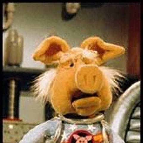 DanielAshley13's tweet photo. #ICantHelpButGiggleAt Dr. Strangepork.  He was one of my favorite Muppets. https://t.co/SjUPQXgqDm