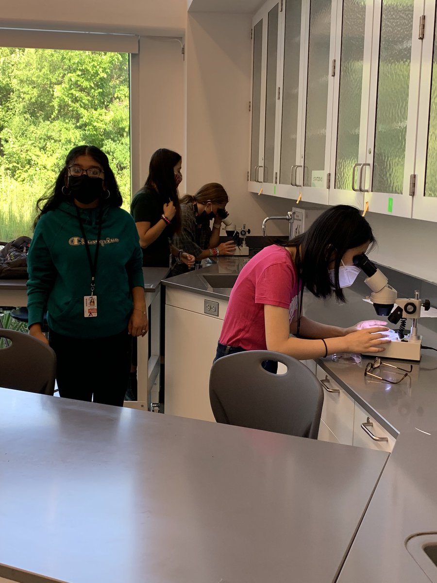 Emily Myhre tweet media