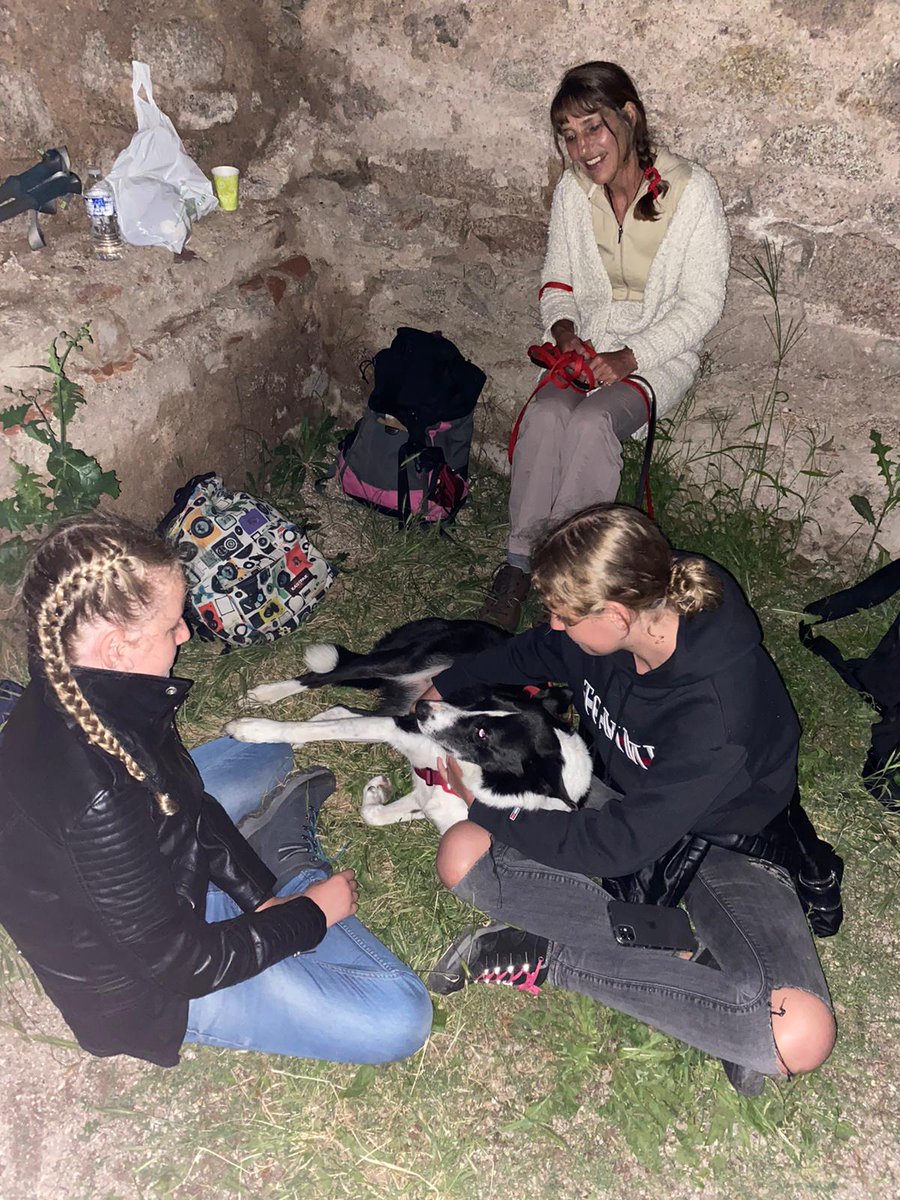 Monterey, Vera (@montereyvera) on Twitter photo 