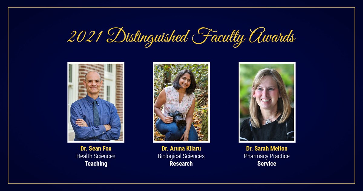 Brian Noland tweet media