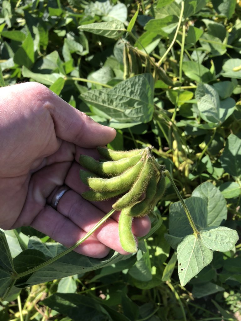 Frontlinefarmer tweet media