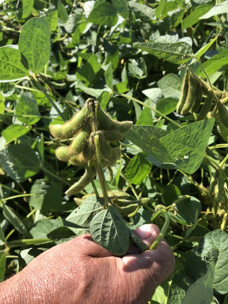 Frontlinefarmer tweet media