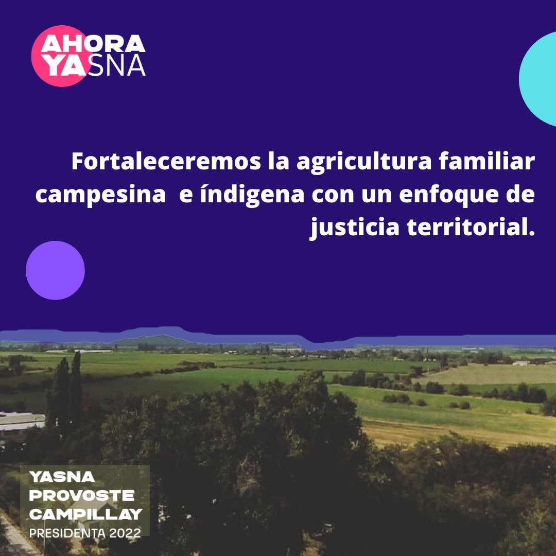 aleflorenzano's tweet photo. Tuve la oportunidad de aportar en propuestas para el mundo rural en el programa de Yasna Provoste, gracias a la invitación del colega @marcelomena. Acá van algunas de las medidas que elaboramos en el Ayllu Mundo Rural: https://t.co/w8k0nJlNja