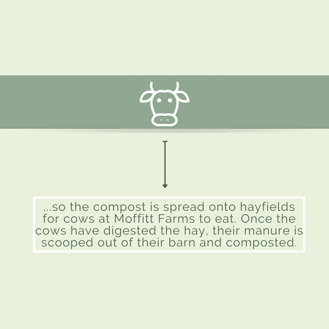 MOA_SWS's tweet photo. Swipe to see the timeline of how your banana peel becomes compost for your garden and saves the landfill from emitting extra methane! This whole process takes up to only 1 year! https://t.co/2iLN3TtII7