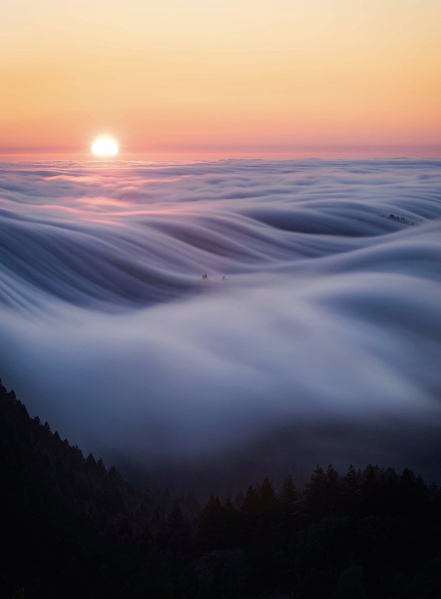 One of my favorite fog flows, from one of my favorite places